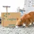 Paquet de friandises pour chat ou chien + huile de saumon 250ml
