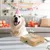 Boîte de 7 friandises naturelles + huile de saumon pour chiens Boîte de 7 friandises naturelles + huile de saumon pour chiens
