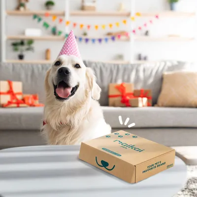 Boîte de 7 friandises naturelles + huile de saumon pour chiens Boîte de 7 friandises naturelles + huile de saumon pour chiens