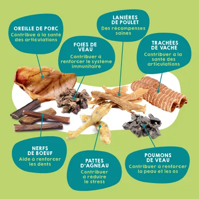 Boîte de 7 friandises naturelles + huile de saumon pour chiens Boîte de 7 friandises naturelles + huile de saumon pour chiens