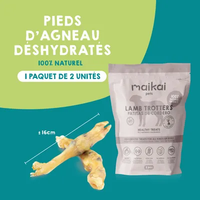Boîte de 5 produits à mâcher + bois de cerf pour chiens