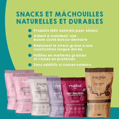 Boîte de 5 produits à mâcher + bois de cerf pour chiens