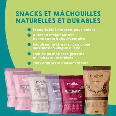 Boîte de 5 produits à mâcher + bois de cerf pour chiens