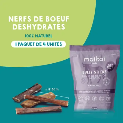 Boîte de 5 produits à mâcher + bois de cerf pour chiens