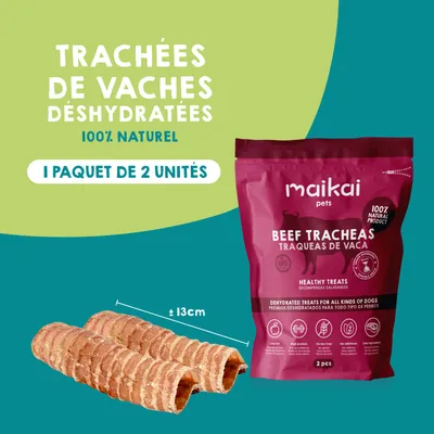 Boîte de 5 produits à mâcher + bois de cerf pour chiens