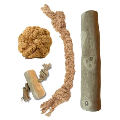 Boris & Lotje - Jouets à mâcher - Pack de base jouets pour chien