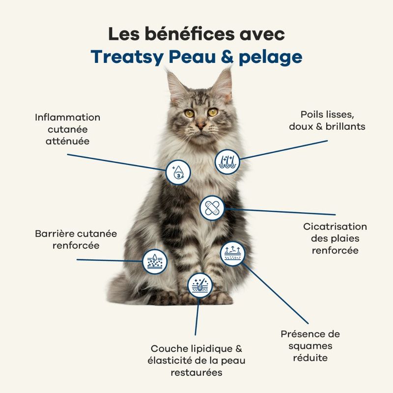 Treatsy Huile Naturelle Oméga 3 - Peau & Pelage pour chiens & chats