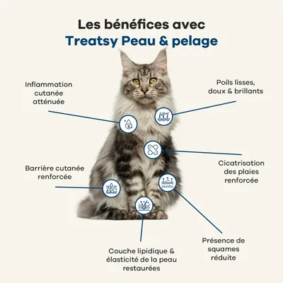 Treatsy Huile de Poissons Naturelle Oméga 3-Peau&Pelage pour chiens & chats