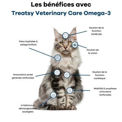 Treatsy Huile de Poissons Oméga 3-Peau, Articulations & Santé chiens chats