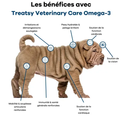 Treatsy Huile de Poissons Oméga 3-Peau, Articulations & Santé chiens chats Treatsy Huile de Poissons Oméga 3-Peau, Articulations & Santé chiens chats
