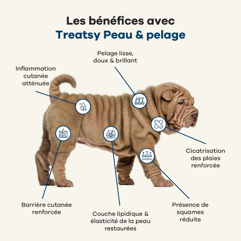 Treatsy Huile Naturelle Oméga 3 - Peau & Pelage pour chiens & chats