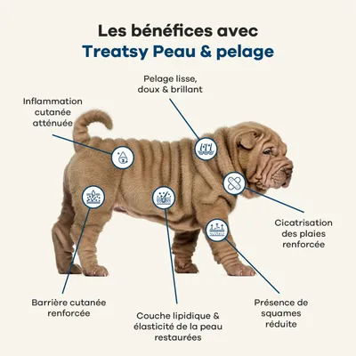 Treatsy Huile de Poissons Naturelle Oméga 3-Peau&Pelage pour chiens & chats