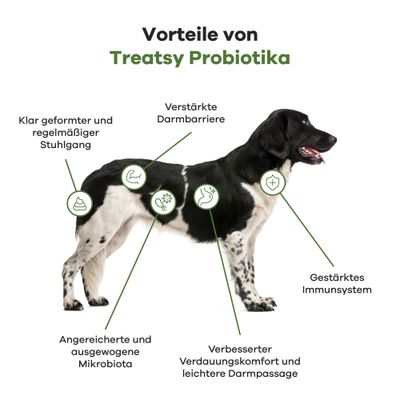 Treatsy Nahrungsergänzungsmittel – Probiotika für Hunde 2er-Pack