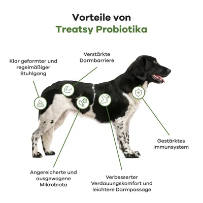 Treatsy Nahrungsergänzungsmittel – Probiotika für Hunde 2er-Pack