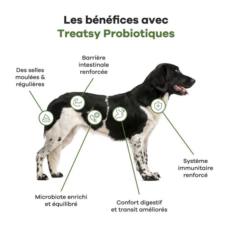 Treatsy Complément Alimentaire - Probiotiques pour chien Lot de 2