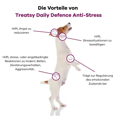 Treatsy Complément Alimentaire - Anti-Stress pour chiens