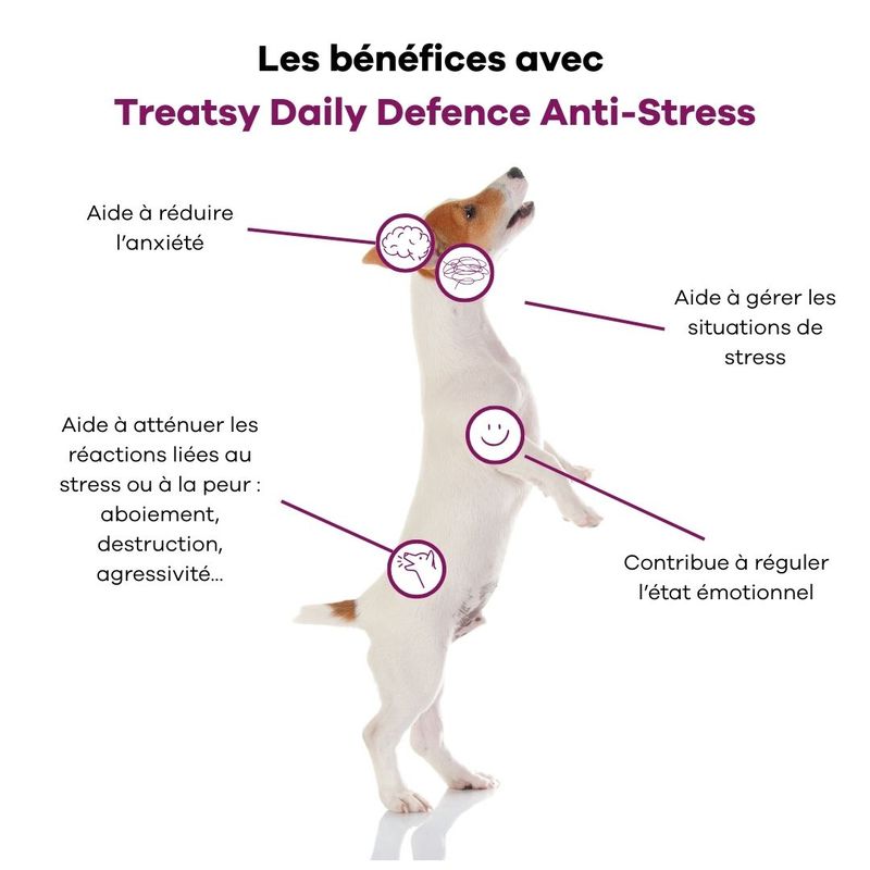 Treatsy Complément Alimentaires - Anti-Stress pour chiens - lot de 2