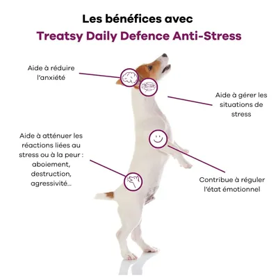 Treatsy Complément Alimentaire - Anti-Stress pour chiens