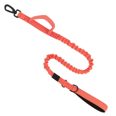 Must&Co - Laisse élastique Anti-Traction pour chien