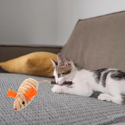 Jouet à mâcher en peluche en forme de souris pour chat