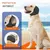 ZooVenture Cache - oreilles imperméables pour chien