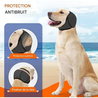 ZooVenture Cache - oreilles imperméables pour chien