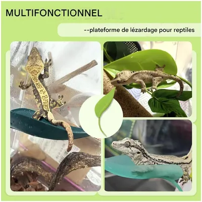 ZooVenture Plateforme de repos pour petits animaux