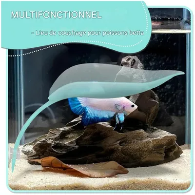 ZooVenture Plateforme de repos pour petits animaux