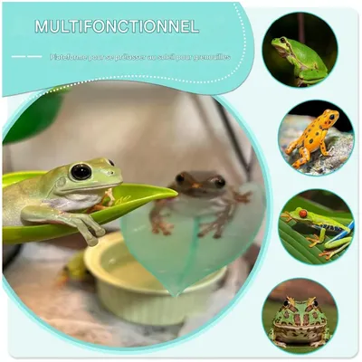 ZooVenture Plateforme de repos pour petits animaux