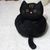 FurryFusion Nid pour chats et chiens avec oreiller