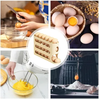 ZooVenture Boîte de rangement d'œufs pour oiseaux domestiques