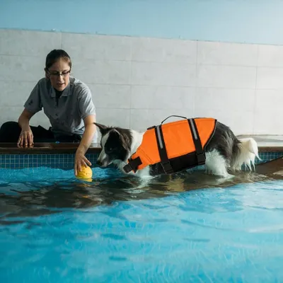 FurryFusion Rettungsweste für Hunde