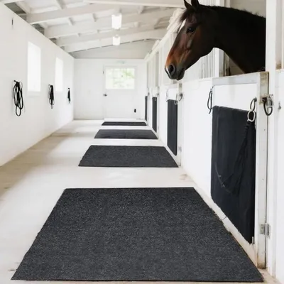 ZooVenture Matelas d'absorption d'eau pour chevaux