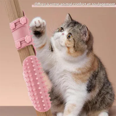 IntiMeg Gratte - jeu en silicone pour chat et chien