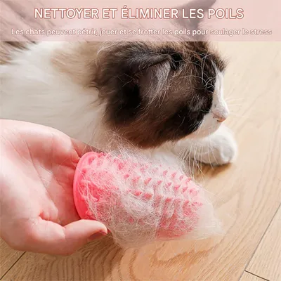 IntiMeg Gratte - jeu en silicone pour chat et chien