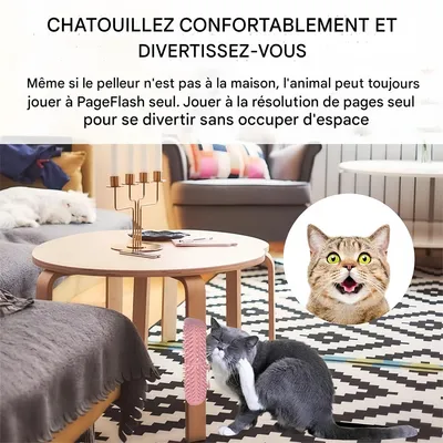 IntiMeg Gratte - jeu en silicone pour chat et chien