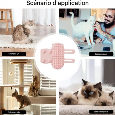 IntiMeg Gratte - jeu en silicone pour chat et chien