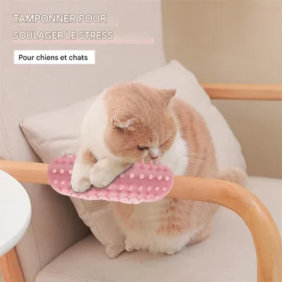 IntiMeg Gratte - jeu en silicone pour chat et chien