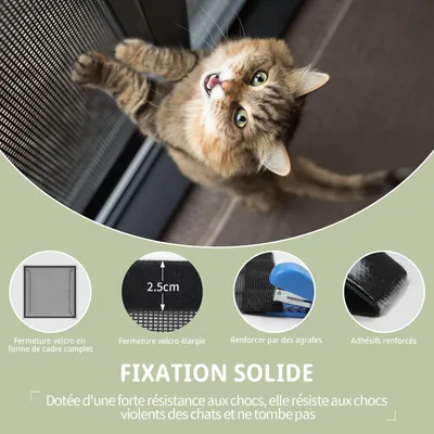 IntiMeg Filet de protection pour chat