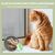 IntiMeg Filet de protection pour chat