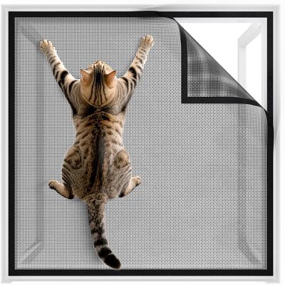 IntiMeg Filet de protection pour chat