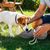 IntiMeg Bouteille d'eau pour chien de 800 ml portable