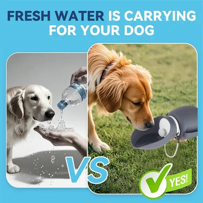 IntiMeg Botella de agua portátil para perros de 800 ml