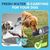 IntiMeg Bouteille d'eau pour chien de 800 ml portable