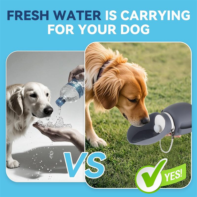 IntiMeg Bouteille d'eau pour chien de 800 ml portable