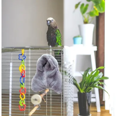 ZooVenture Nid d'oiseau pour perroquet