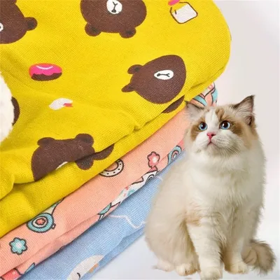 IntiMeg Sac de couchage pour chat d'intérieur