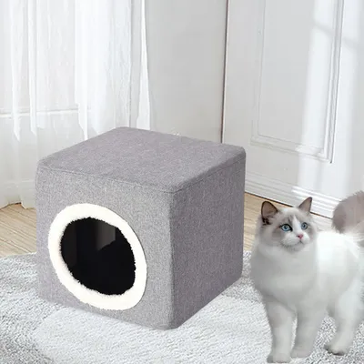 Lit for Chat d'intérieur for Chat, Maison cachée