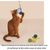 ZooVenture Jouets balles de sisal pour chats