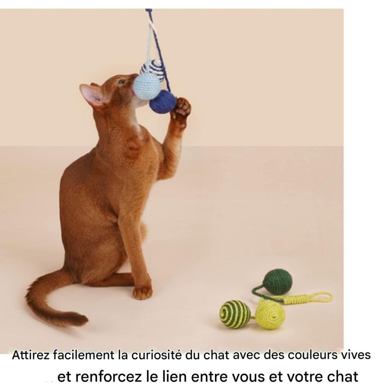 ZooVenture Jouets balles de sisal pour chats
